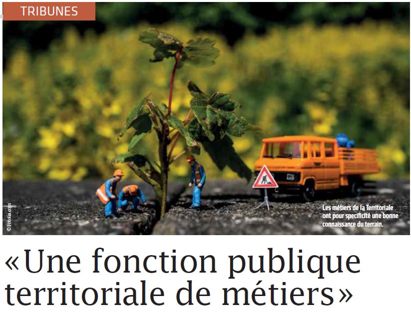 « Une fonction publique territoriale de métiers » – article Ingénierie Territoriale n°29 – octobre 2017